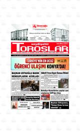 SEYDİŞEHİR TOROSLAR