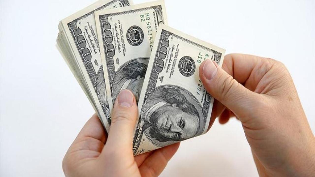 Finansal kesim dışındaki firmaların net döviz açığı şubatta arttı