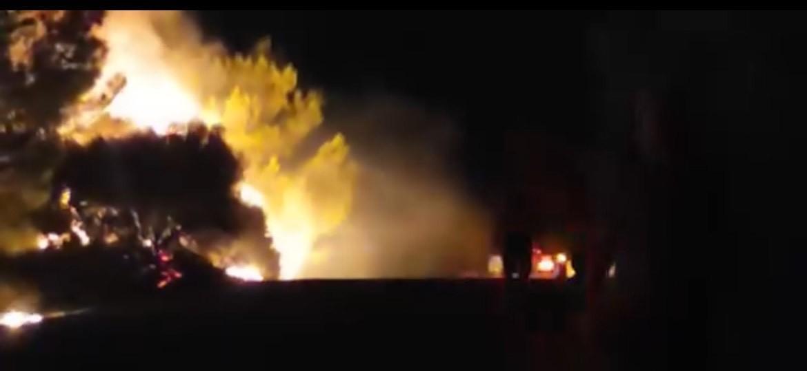 İzmir’de orman yangını