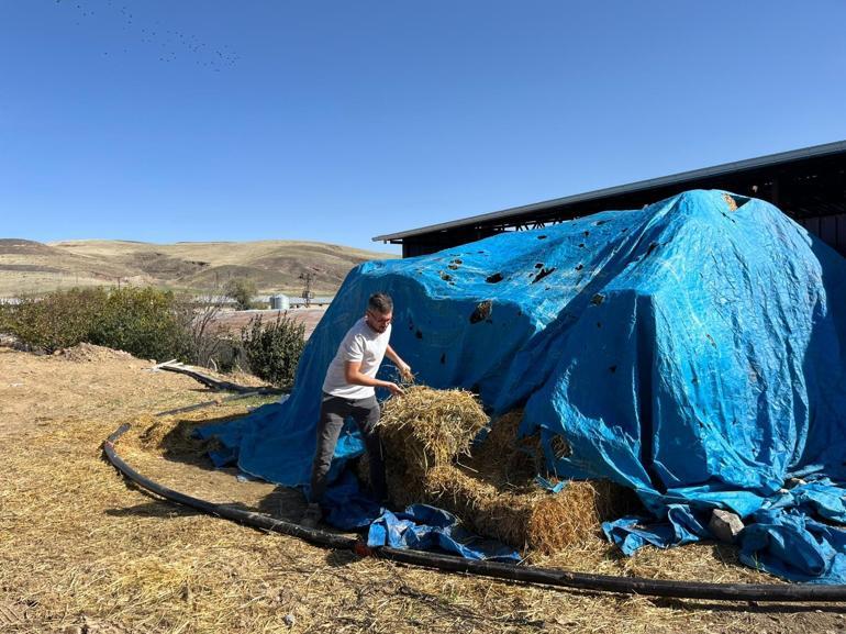 Kırmızı ette sürdürülebilirlik için genç çiftçiye destek projesi