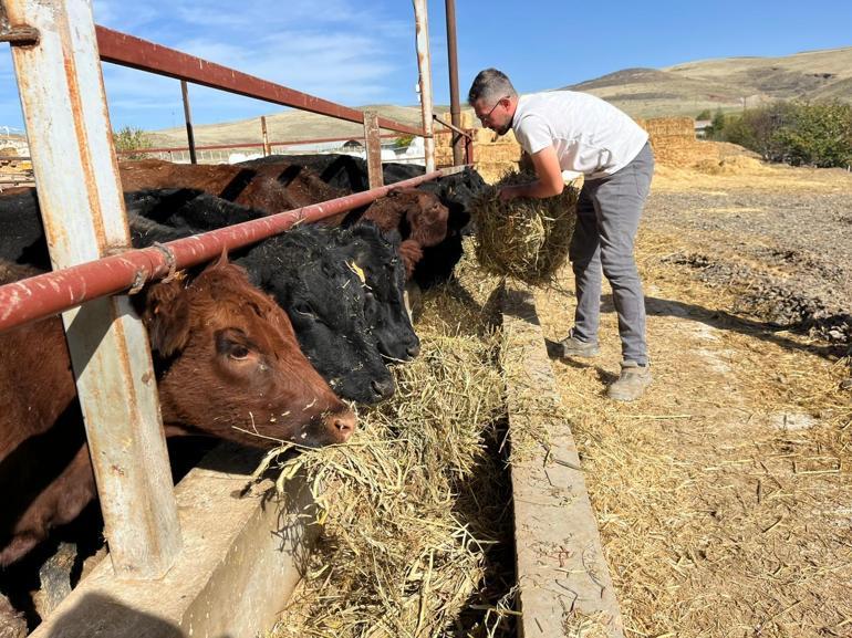 Kırmızı ette sürdürülebilirlik için genç çiftçiye destek projesi