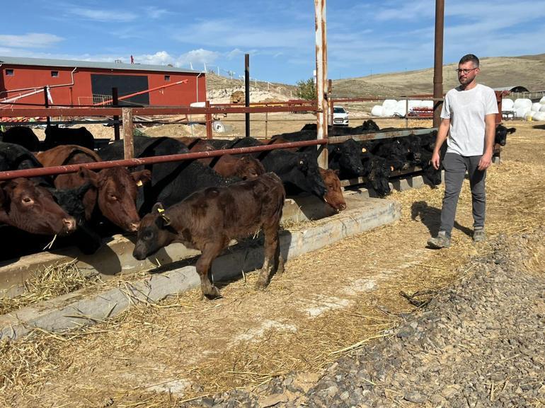 Kırmızı ette sürdürülebilirlik için genç çiftçiye destek projesi