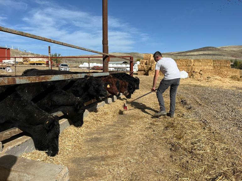 Kırmızı ette sürdürülebilirlik için genç çiftçiye destek projesi