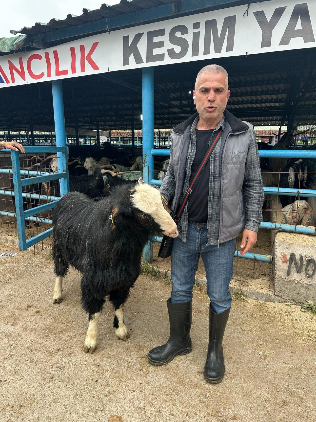 Bursa'da 120 kilogramlık keçinin fiyatını duyan kulaklarına inanamadı