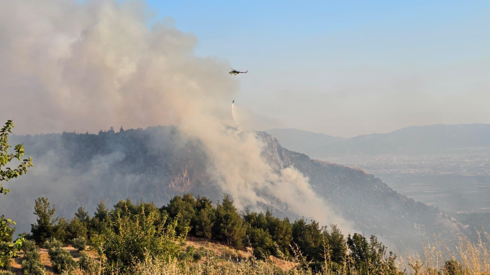 Pamukkale’de orman yangını (2)
